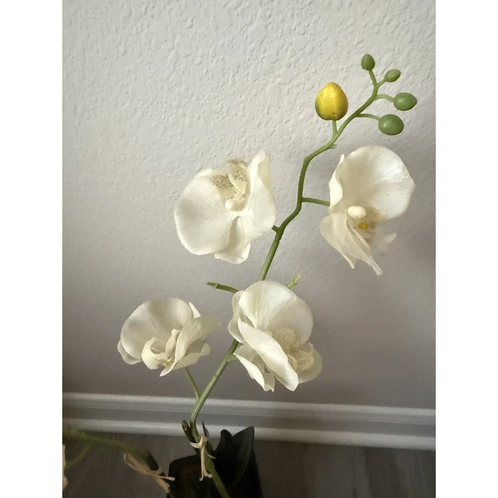 Real Touch White Phalaenopsis Potted Orchid Plant With A Black Ceramic Pot 18”